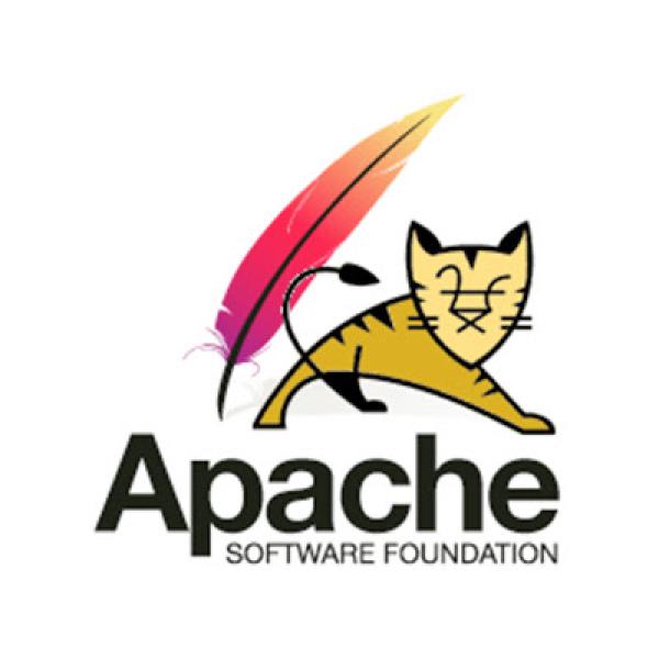 Apache Tomcat Web Application Server